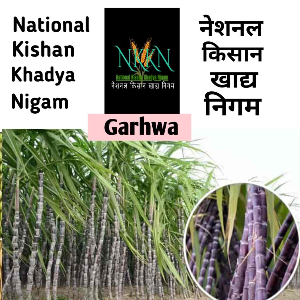 NKKN: National Kisaan Khadya Nigam Processing Unit 